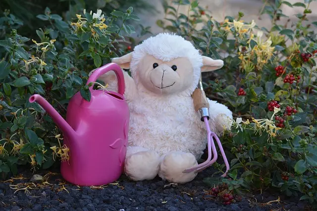 annabel_p-blankie-3684855_640