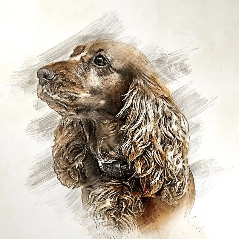arttower-cocker-spaniel