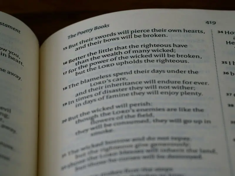 brett-jordan-xPKrOzc94eA-unsplash©Brett Jordan sur unsplash