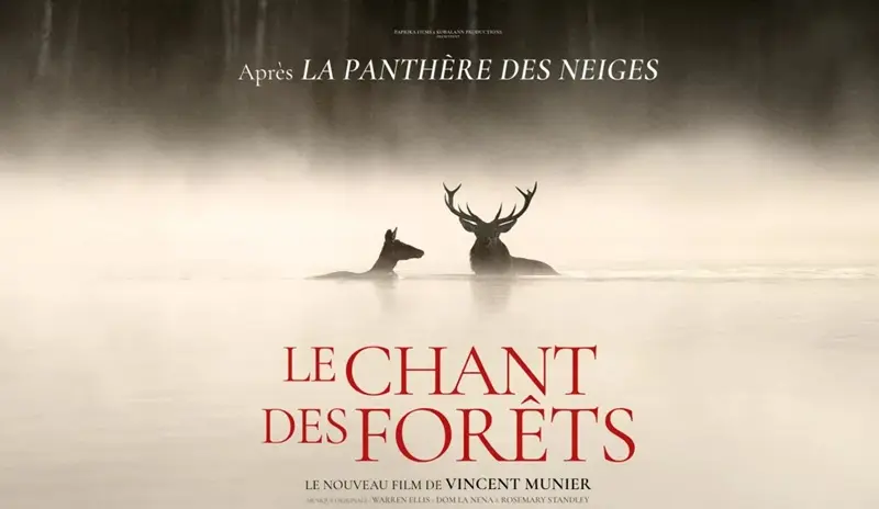 chant des forets