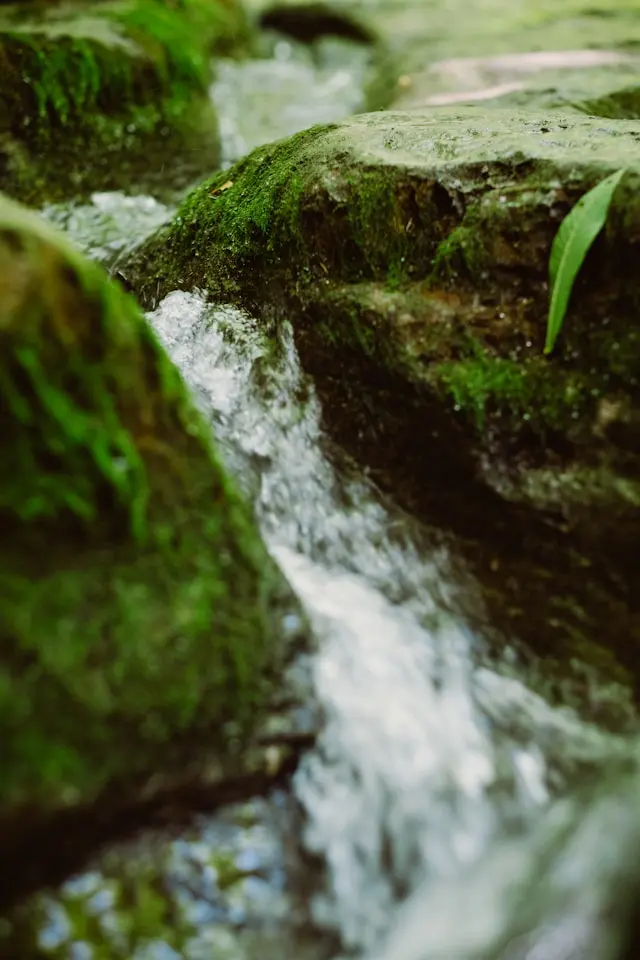 chris-abney-gvb84QdErNs-unsplash
