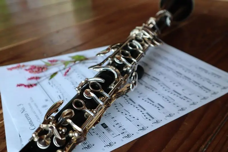 clarinet©Gyuhyechoi de Pixabay
