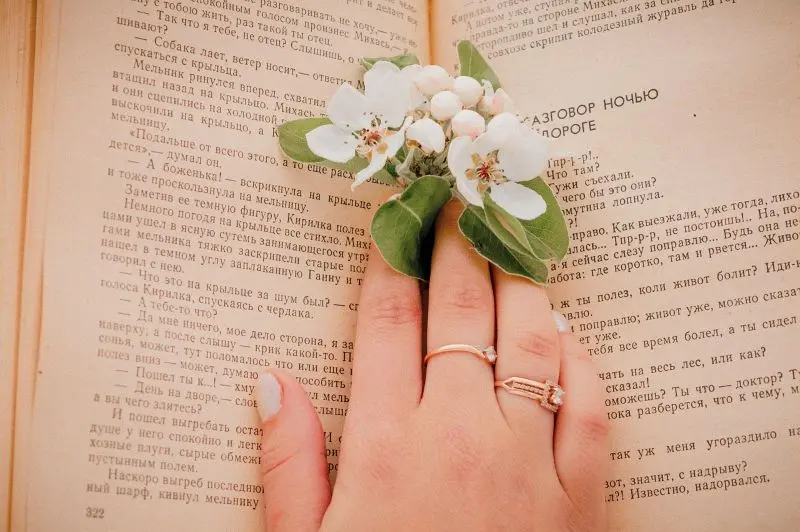 dashkabudich-book©pixabay