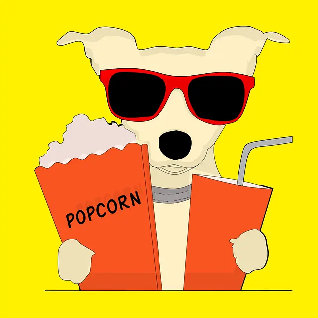 dog-2367414_640