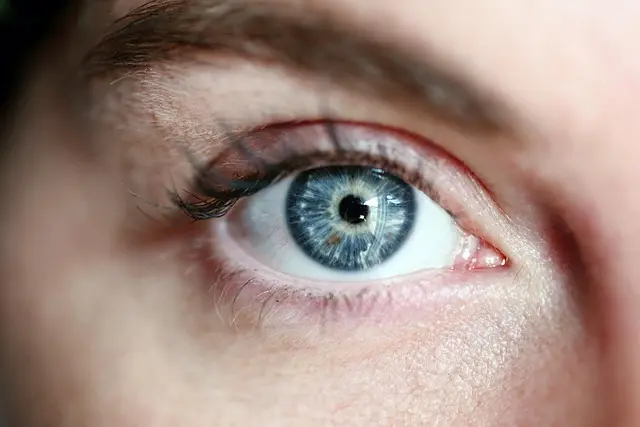 eye-3805227_640