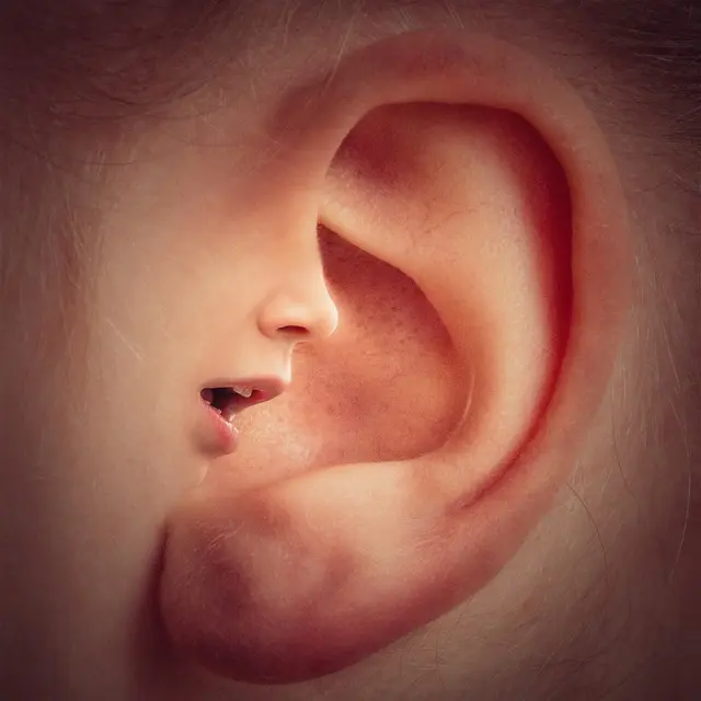 ear-3971050_640