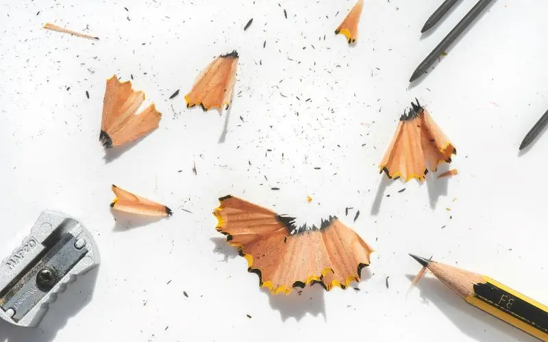 eduardo-casajus-gorostiaga-aWUUEIJaSRw-unsplash©Eduardo Casajus Gorostiaga sur unsplash