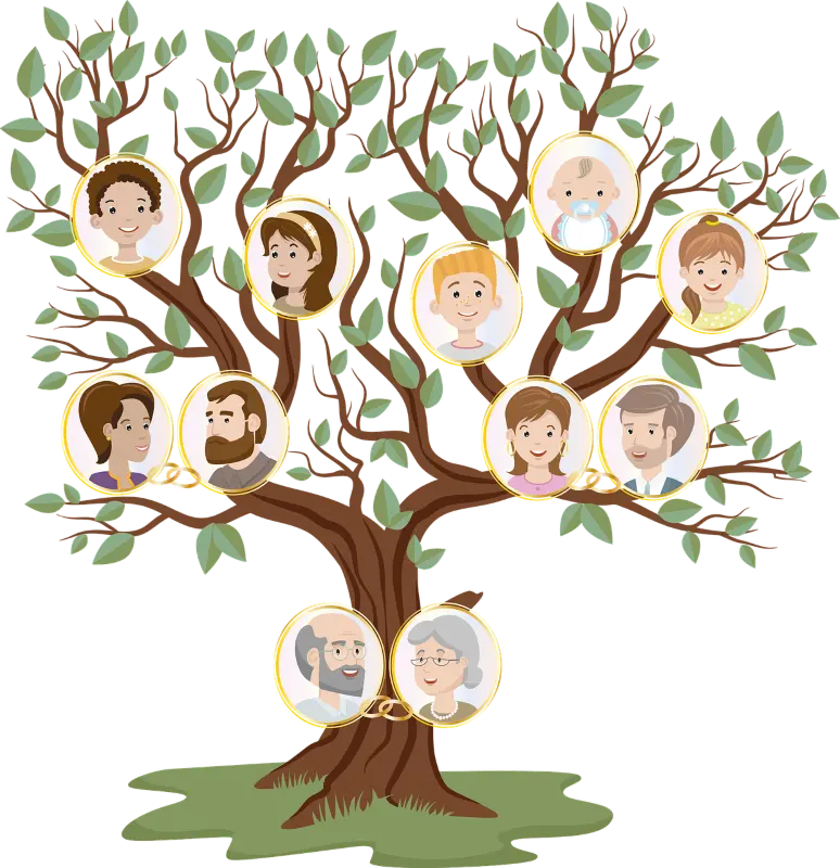 family-tree©Agatha de Pixabay