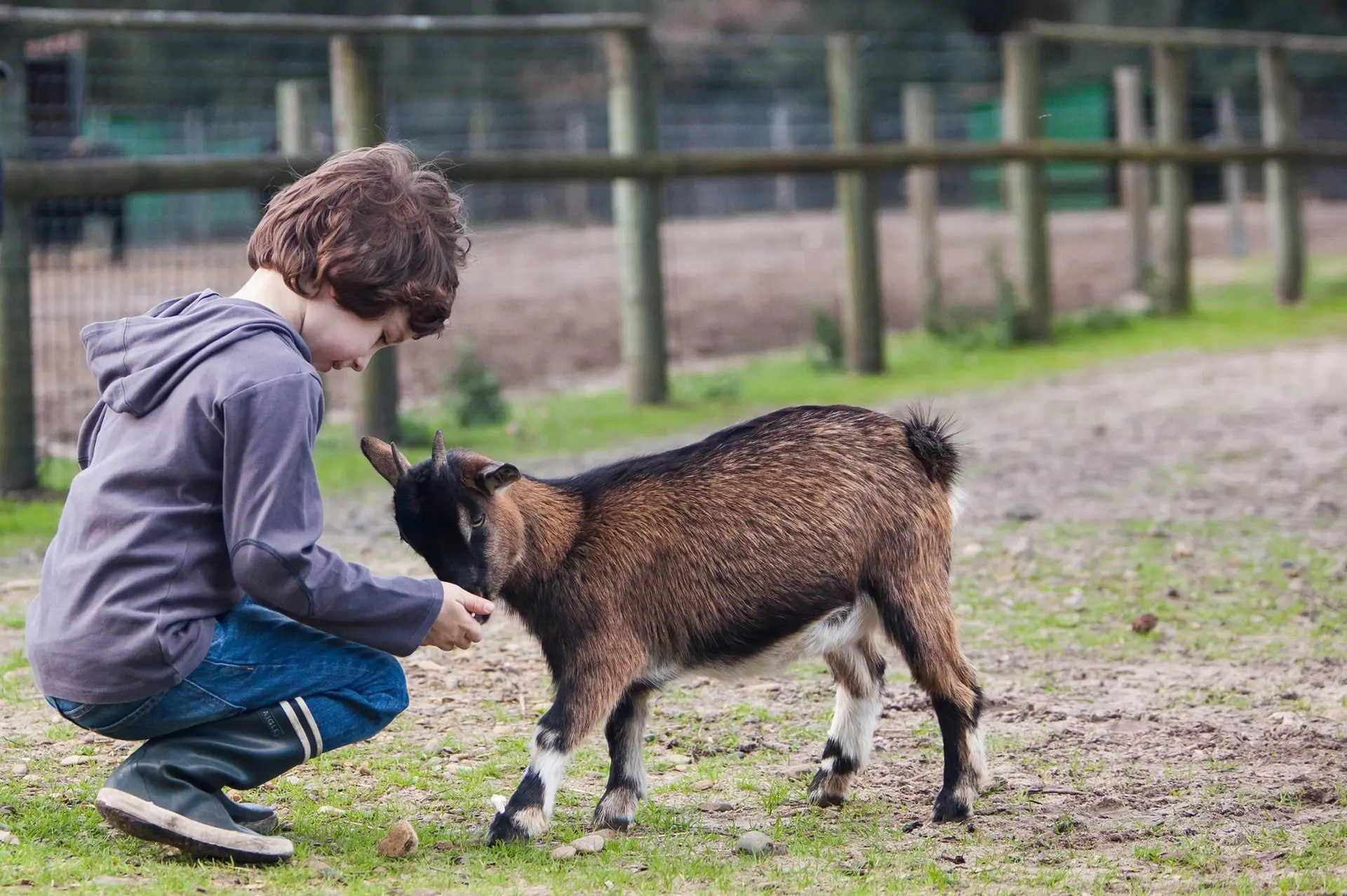 ferme ellia