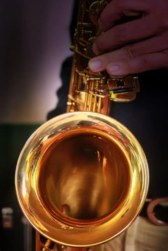fietzfotos-brass-3294559©Albrecht Fietz de pixabay