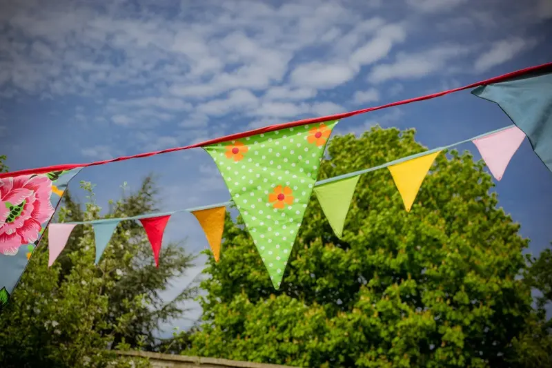 foxy-bunting