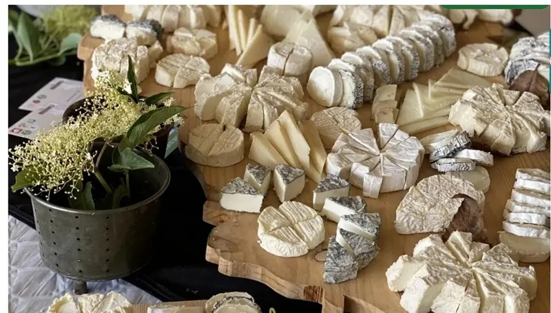 fromages plateau chèvres