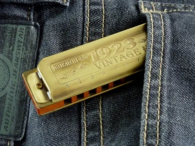 harmonica