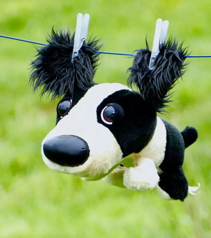 hreisho-stuffed-toy©Stéphane Chadourne de Pixabay