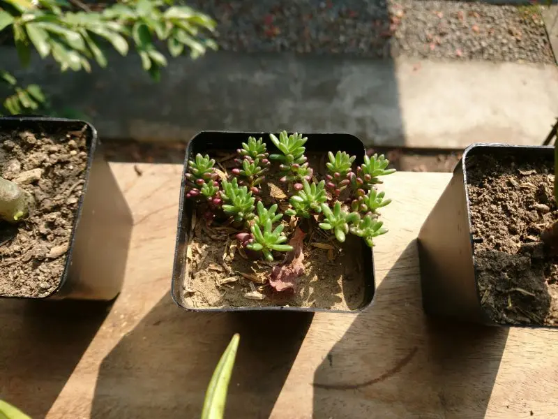 lhar-capili-nvq63H1-OQ8-unsplash©Ihar Capili sur Unsplash