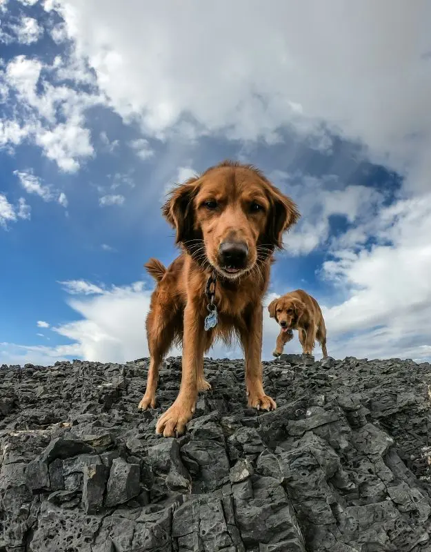 patrick-hendry-oabhGvEHLEI-unsplash©Patrick Hendry sur unsplash