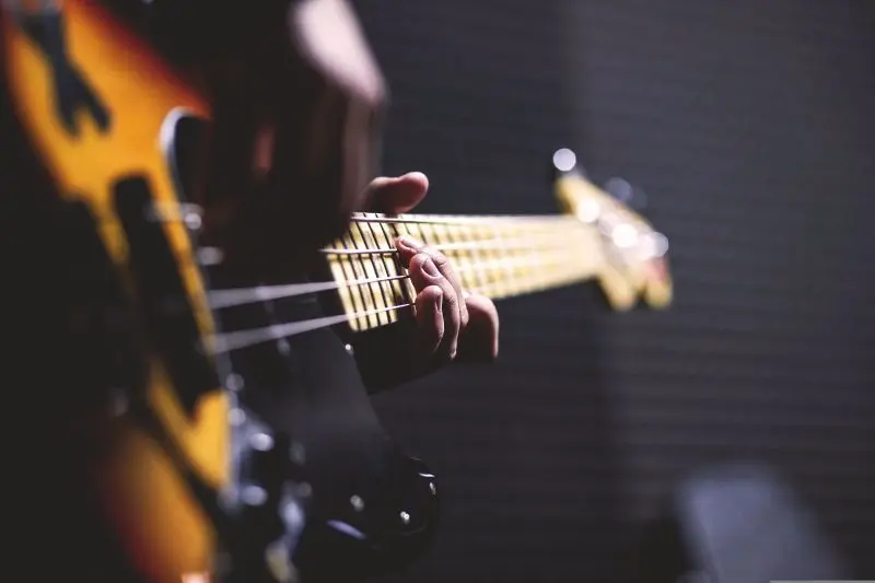 pexels-bass-guitar-1841186©Pexels de Pixabay
