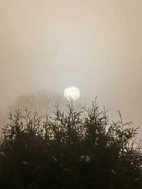 stripe-media-gM5-qFkRfm4-unsplash©Stripe média sur unsplash