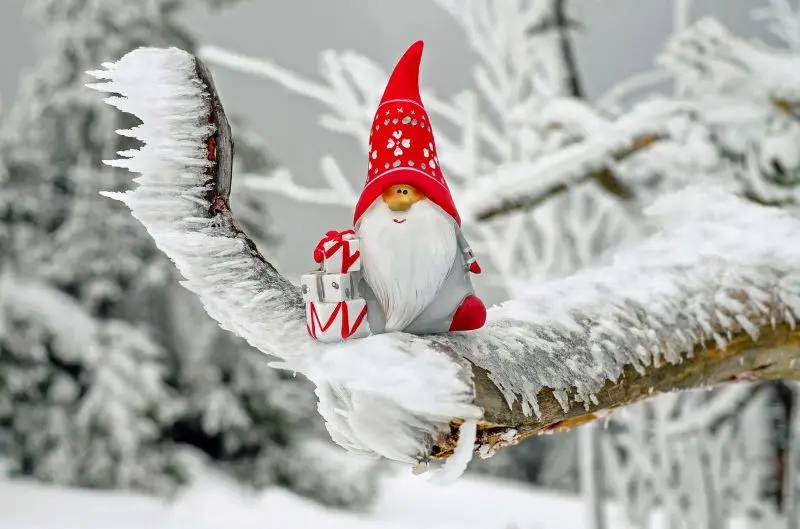 santa-claus©couleur de Pixabay