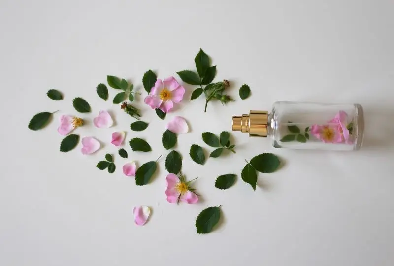 scent-of-roses©Monfocus de Pixabay
