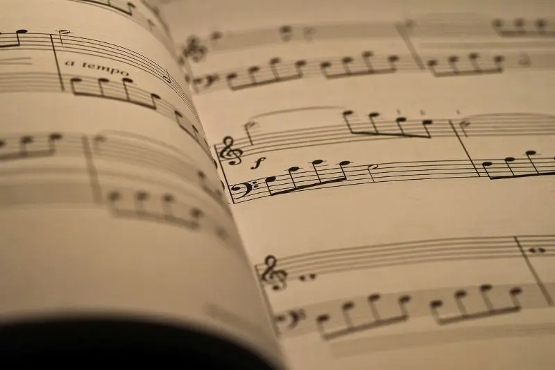 sheet-music©Ralf Ruppert de Pixabay