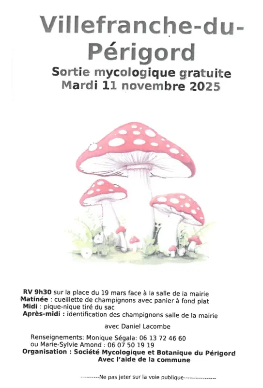 sortie myco