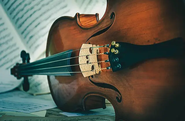violin
