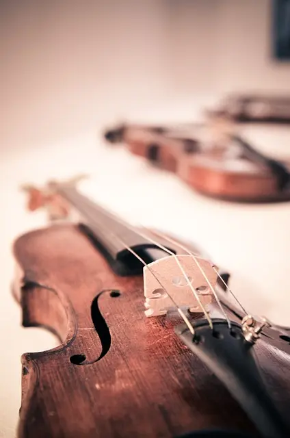 violin