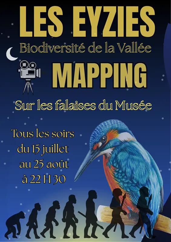 MAPPING - 1