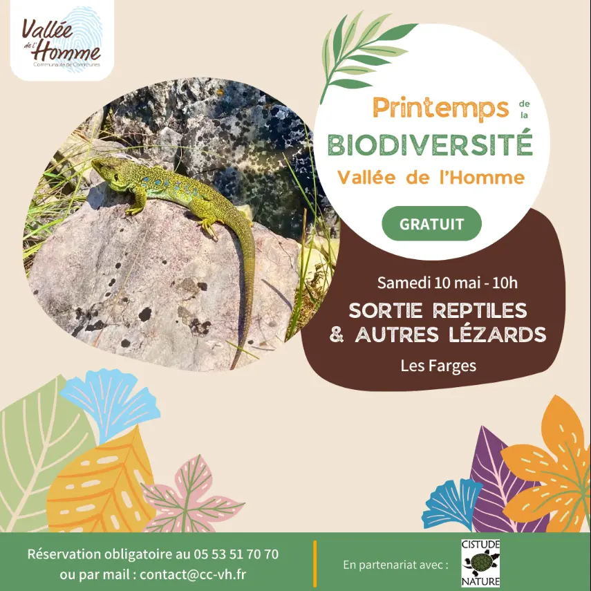10052025_sortie reptiles_Les Farges