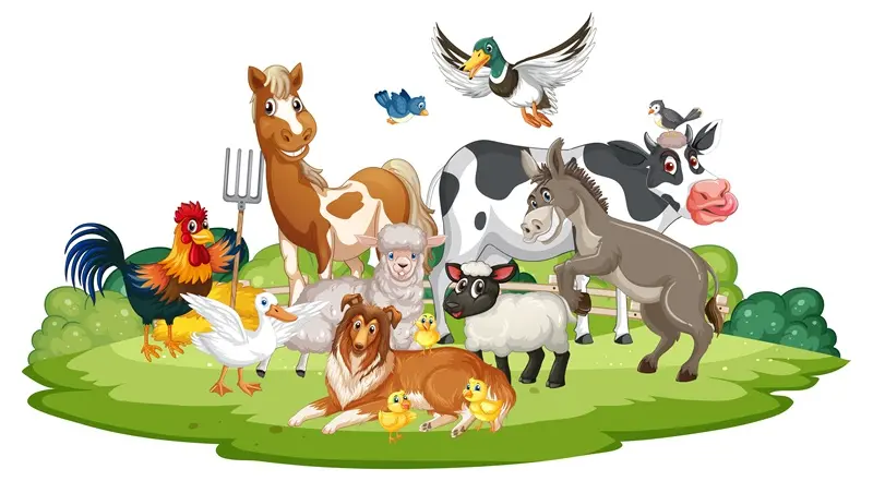 221891278_22f2bc25-c0d8-4981-9af7-c0aed037f3f2