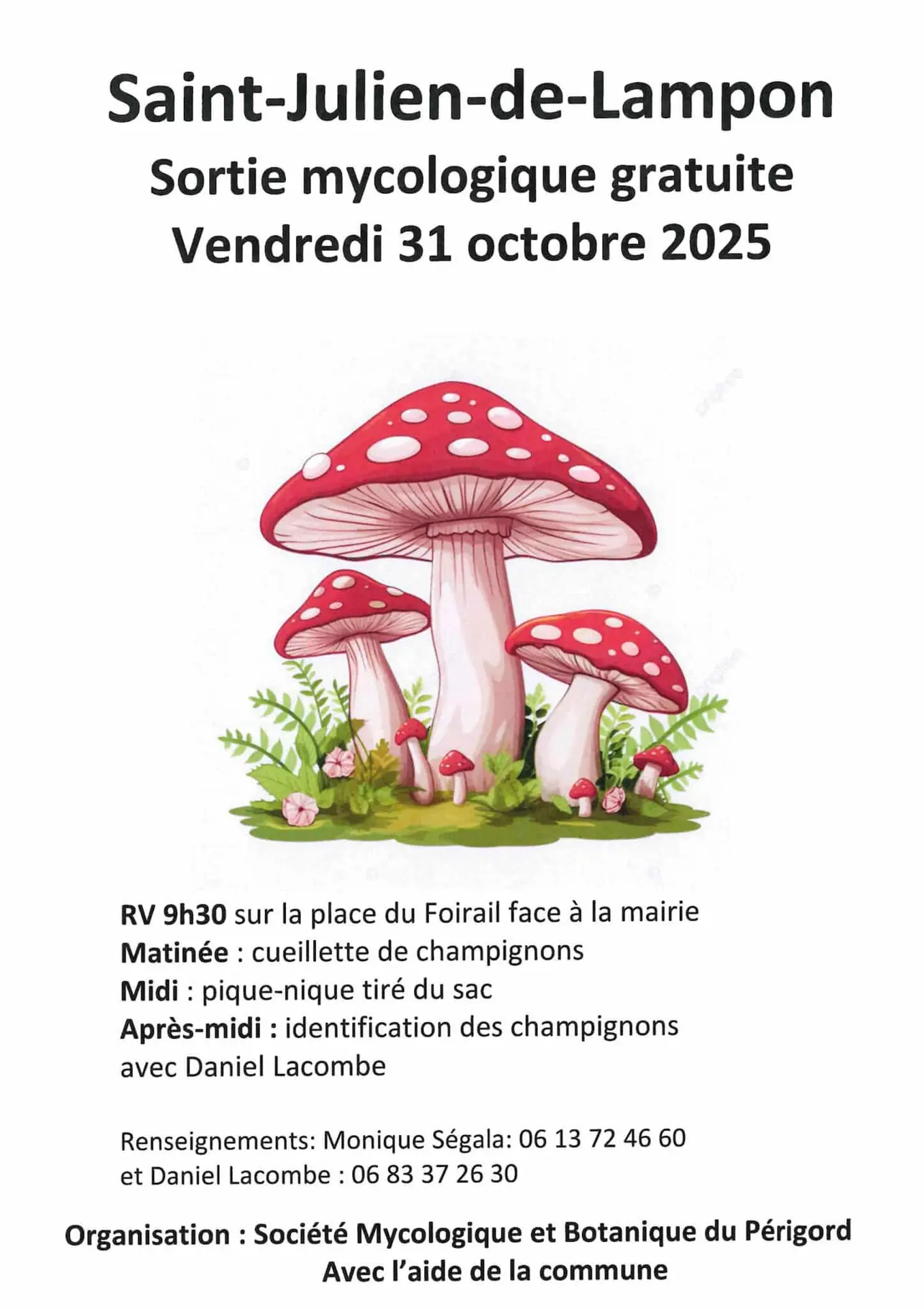 567187765_1149605186803113_8367134066519324426_n