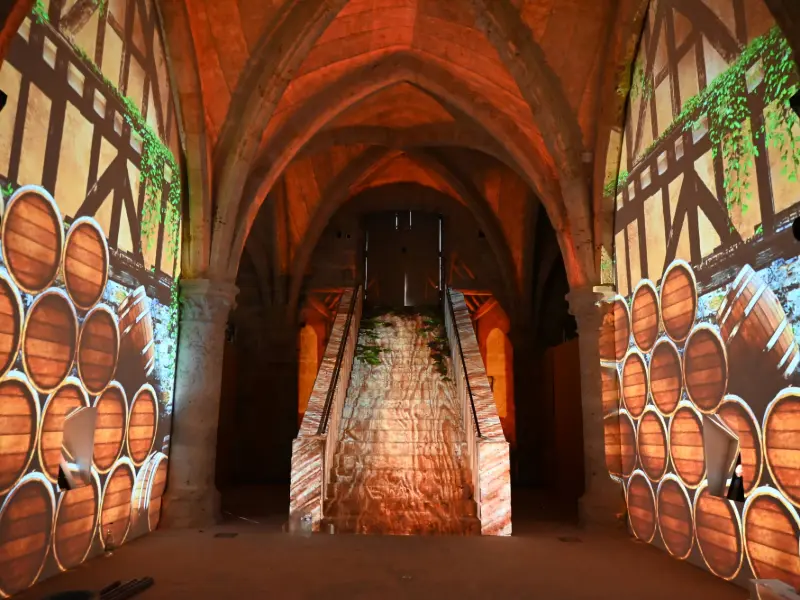 Chartres, 1000 ans d'éclat