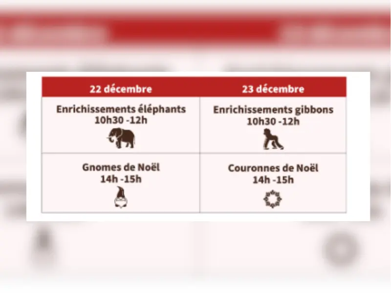 format tourinsoft - 1