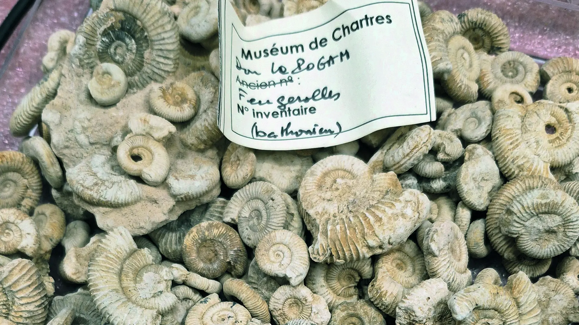 10-29-conference-jeudis-archeo-museum-histoire-naturelle-mediatheque-apostrophe-chartres-16-9