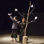 Silence des Oiseaux