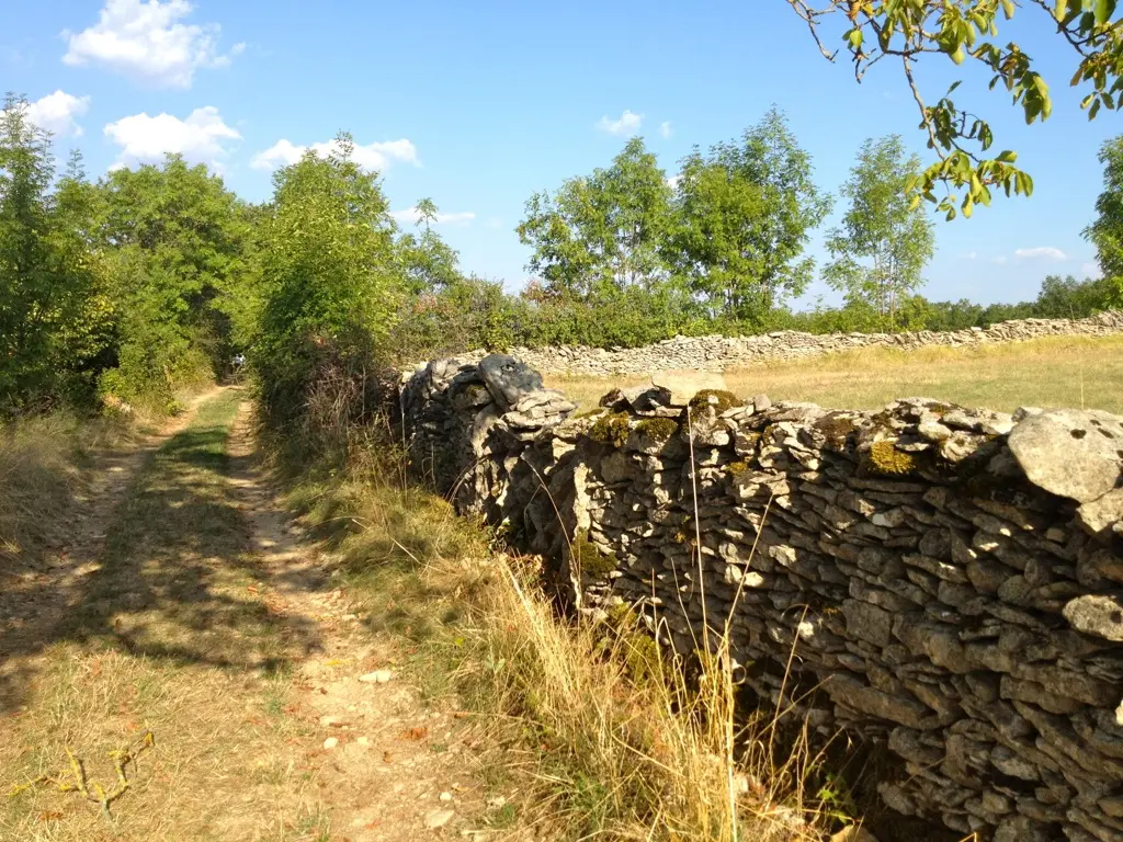 Chemin et Muret