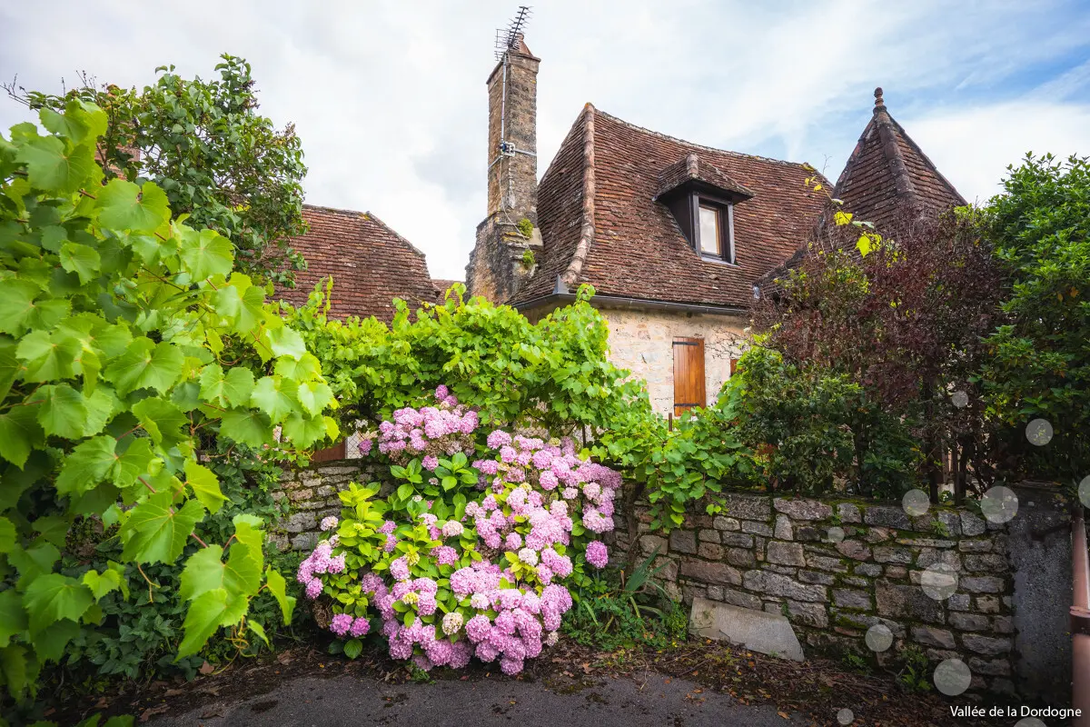 02384-OTVD-CC-BY-NCMaxime-Seimbille-Dronieguy.---Vallee-de-la-Dordogne.jpg-1200px