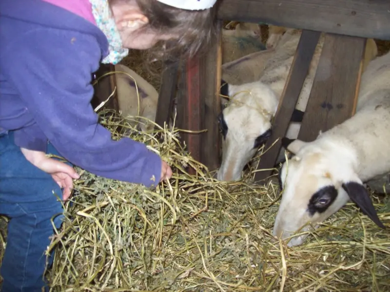 Ferme pédagogique La Brebis bavarde - Albiac