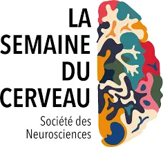 La semaine du Cerveau
