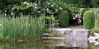 ANCIEN JARDIN DU COUVENT MEYRONNE
