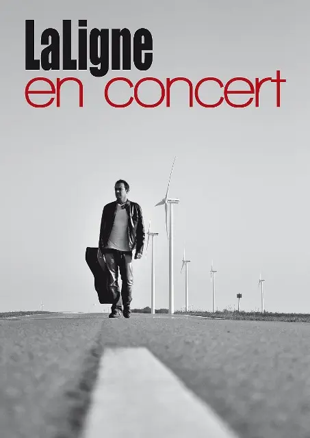 Affiche Sébastien Laligne OK