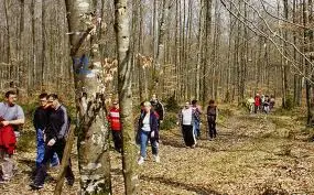 Balade Bois des Jonquilles