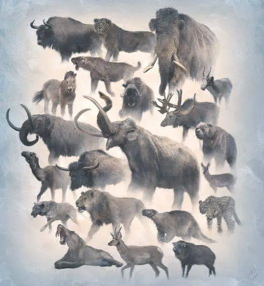 Bestiaire preěhistorique
