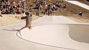 Bowl de campgane d'Olivier Lambert