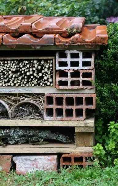 Hôtel à insectes