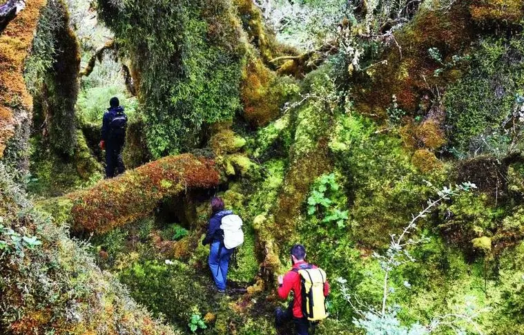 Ultima Patagonia