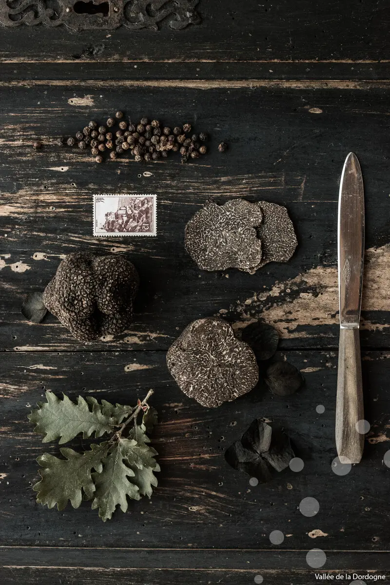 Cauvaldor-Truffe-lifestyle--MalikaTurin-2808-2.jpg-1200px