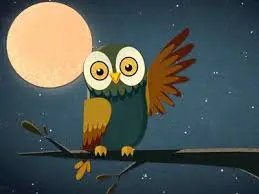 Chouette Veille et Sommeil