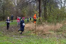 Course d'orientation